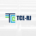 Curso de Discursiva TCE RJ 2026 (pré-edital) IBFC - Auditor de Controle Externo - Tecnologia da Informação