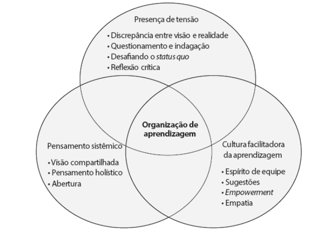 Características das organizações de aprendizagem. LUTHANS, F., RUBACH, M. J., & MARSNIK, P. Going beyond total quality: The characteristics, techniques, and measures of learning organizations. The International Journal of Organizational Analysis, 3(1), 1995.Adaptado.