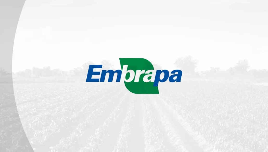 discursiva embrapa