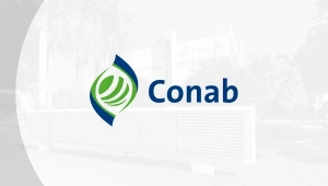 discursiva conab