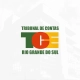 discursiva tce rs