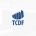 discursiva tcdf