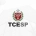discursiva tce sp