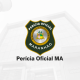 discursiva pericia oficial ma