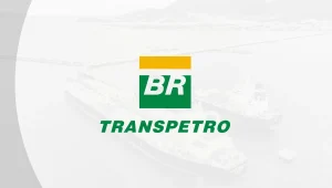 Concurso Transpetro 2026 para Profissional Transpetro de Nível Superior, 33 ênfases